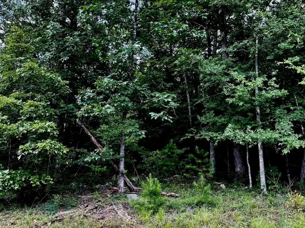 (undisclosed Address), Heber Springs, AR 72543