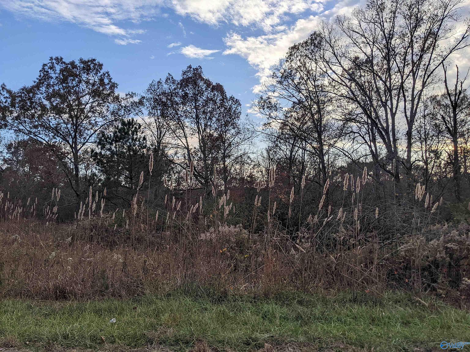 12 Roberts Rd, Henagar, AL 35978 Zillow