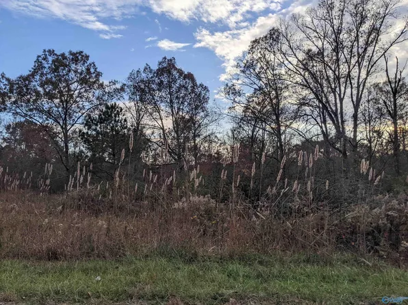 12 Roberts Rd, Henagar, AL 35978