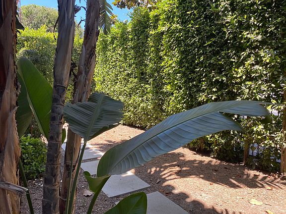 3rd image of 5816 W La Mirada Ave #3