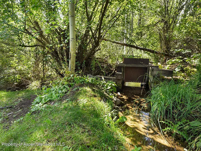 1145 Black Birch Dr — Photo 33