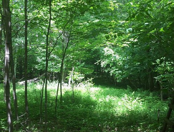 5th image of Xxxx Badger Boulevard Fish Lake Twp