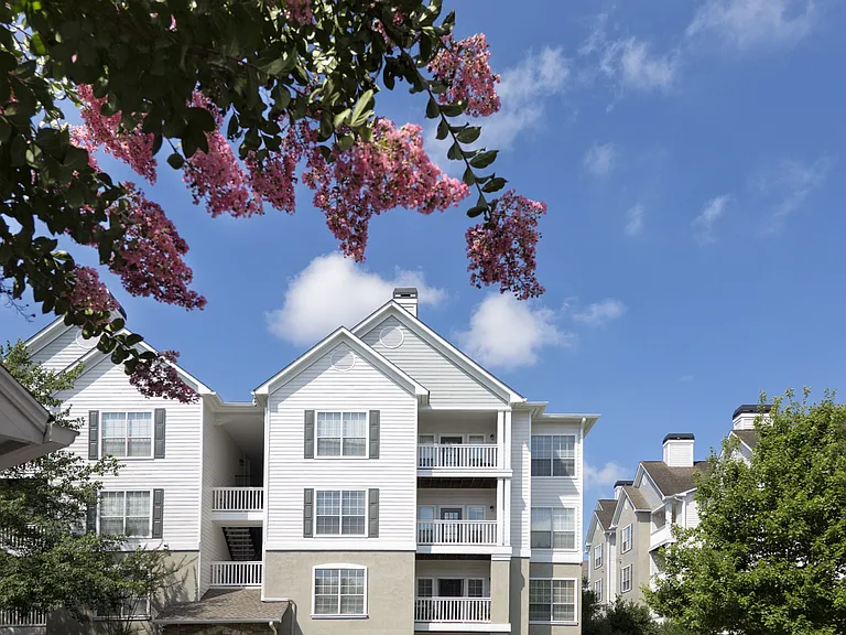 Camden St. Clair — Photo 23