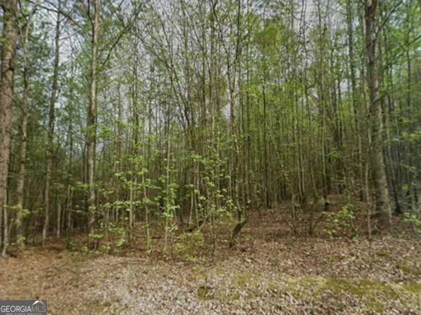 0 Mitchell Rd, Maysville, GA 30558