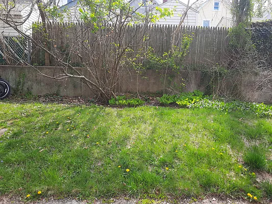 Rented by EXP Realty NYC | media 17