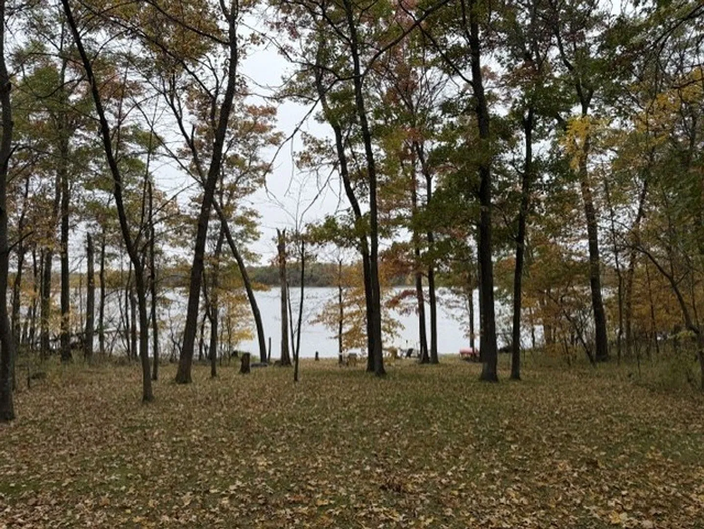 2 bedroom house on Dade Lake — Photo 4