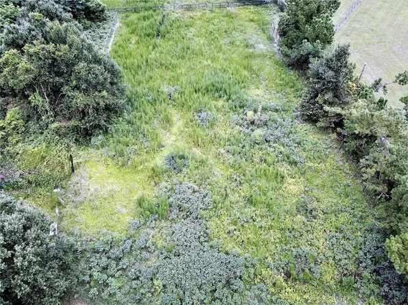 9856 Pangola Loop Lot 12, Land O Lakes, FL 34639