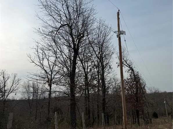 0 Gobblers Knob Rd, Steelville, MO 65565