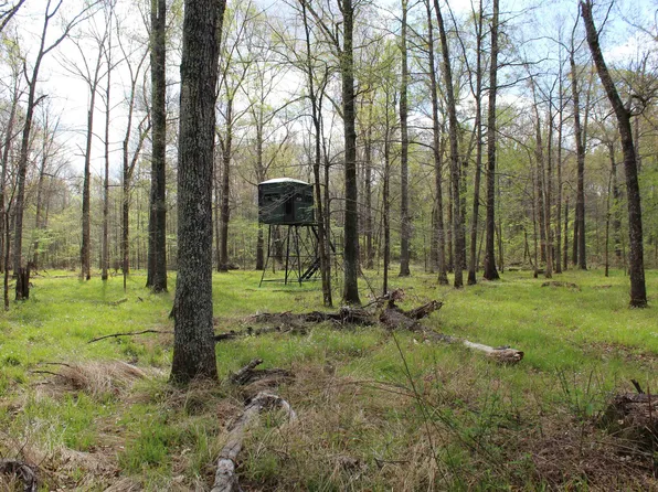 0 Estanaula Rd, Brownsville, TN 38012