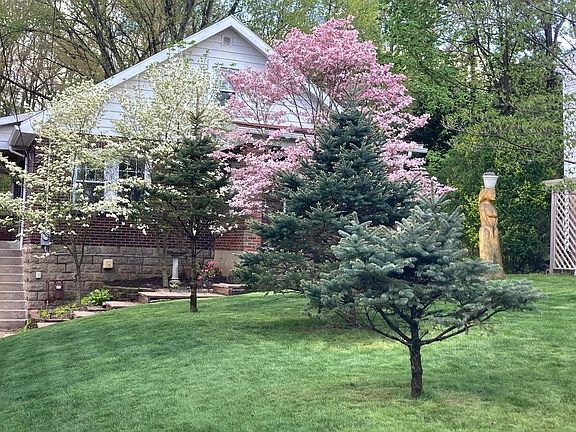 private front yard- dogwoods and blue spruce
