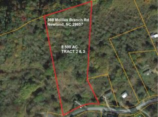 368 Mollies Branch Rd, Newland, NC 28657