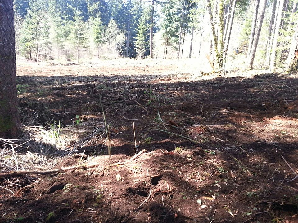 2nd image of 11120 SE Bull Run Rd