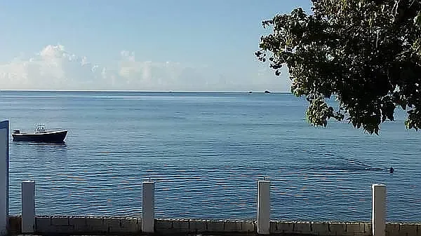 Paseo De Pesca Seafront — Photo 19