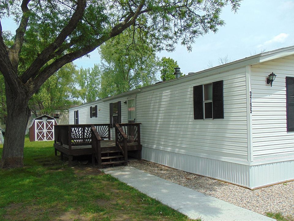Spacious front entrance deck with large storage shed. Notice the mature shade tree to relax under on hot summer days.