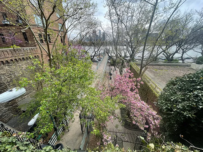 34 Beekman Pl #3S — Photo 9