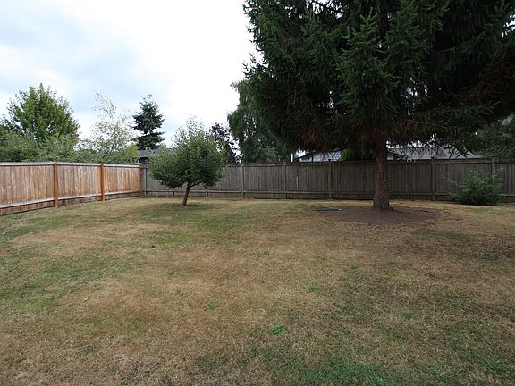 Back yard with apple tree.