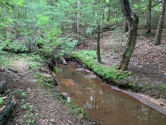 4th image of 145 Whippoorwill Ln