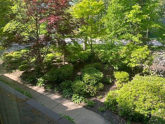 Front gardens
