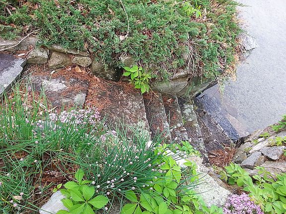 Stone stairs to Beach