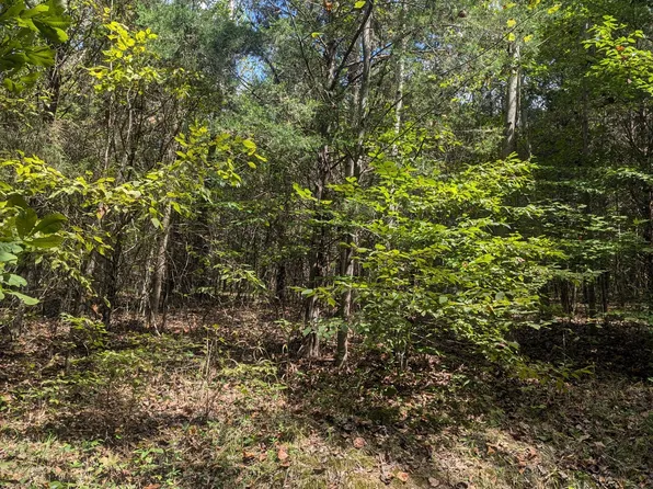 0 Meadows Rd, Cumberland Furnace, TN 37051