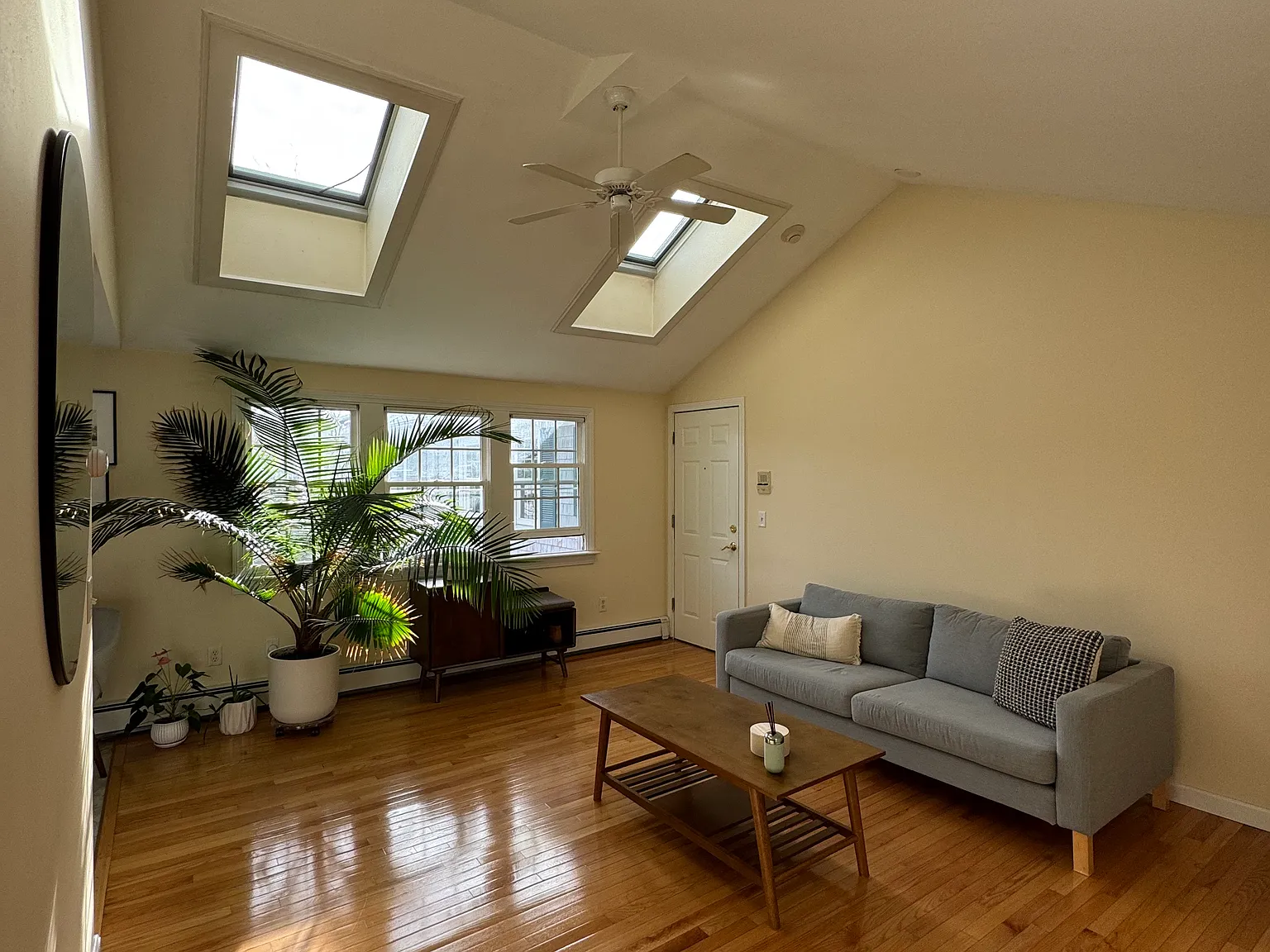 1 bed, 800 sqft, $2,485 — Photo 3