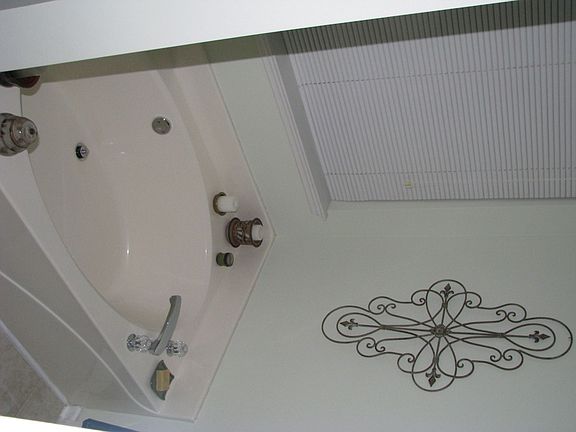 Mstr Bath tub (shower as well)