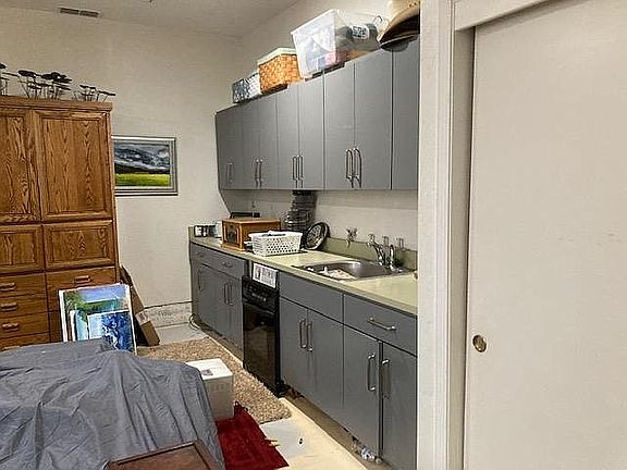 Kitchenette in remodeled gar