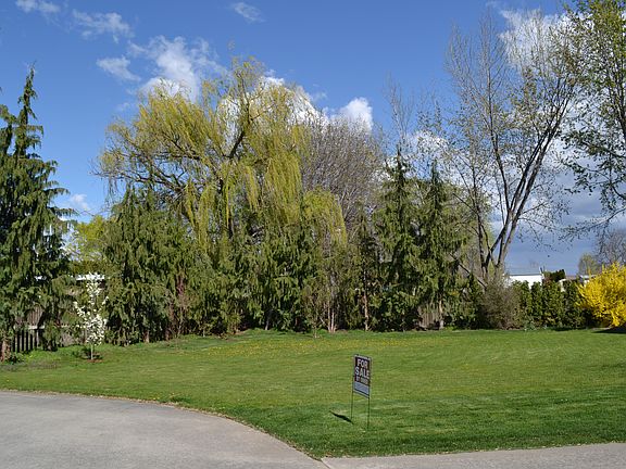 Front yard, 5 fruit trees