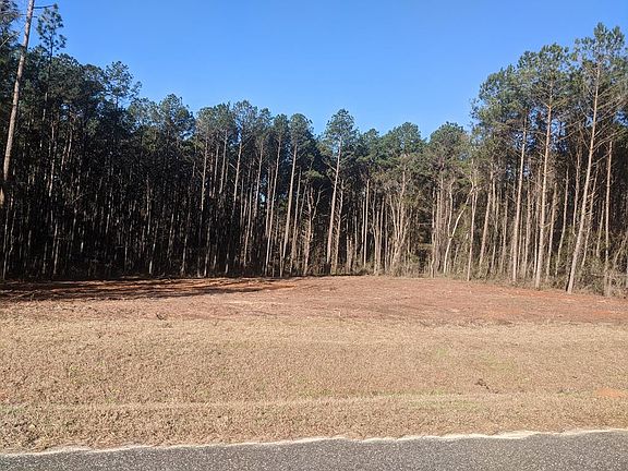 4th image of 174 Blackberry Ln