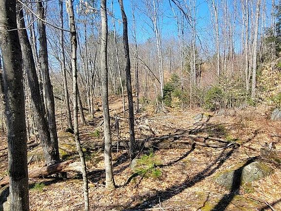 4th image of Lot 21 River Road