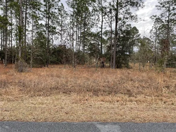 LOT 14 SE 136th Ter Lot 14, Dunnellon, FL 34431