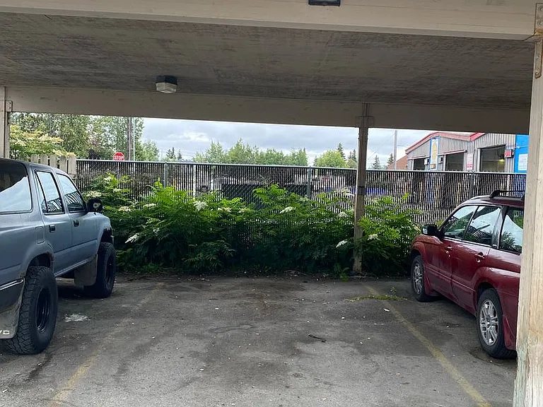 2415 Eureka St — Photo 2