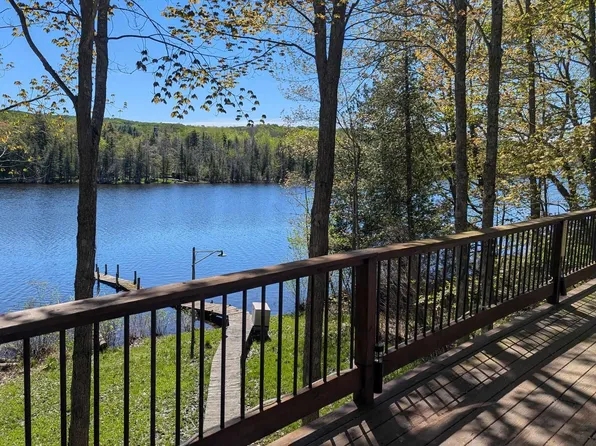 3520 Childs Ln, Central Lake, MI 49622
