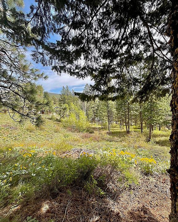 1st image of LOT 42 Sun Mountain Pine Frst #1