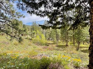 LOT 42 Sun Mountain Pine Frst #1, Winthrop, WA 98862