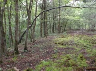 2.64 Old Highway 53 S, Celina, TN 38551