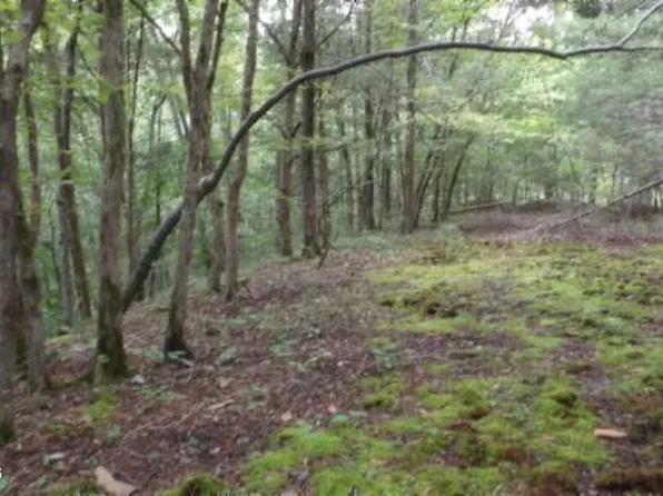 2.64 Old Highway 53 S, Celina, TN 38551