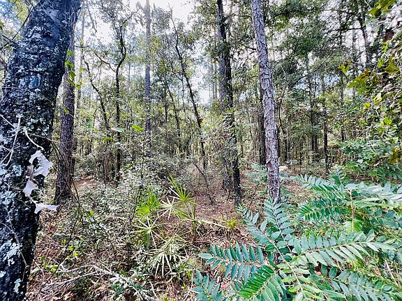 4th image of Lot 24 NW 30th Ave