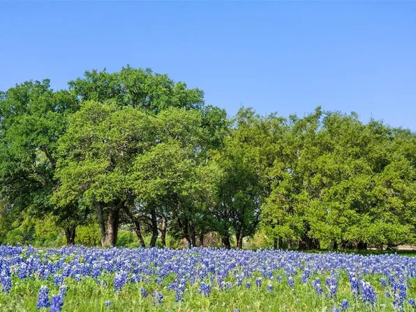 27132 Founders Pl, Spicewood, TX 78669