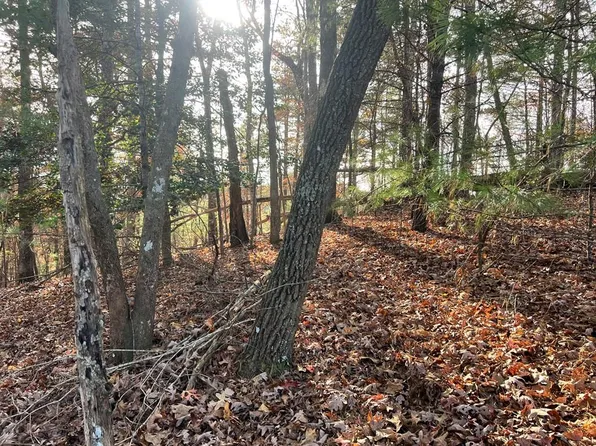 71 Dryad Ct, Ellijay, GA 30540