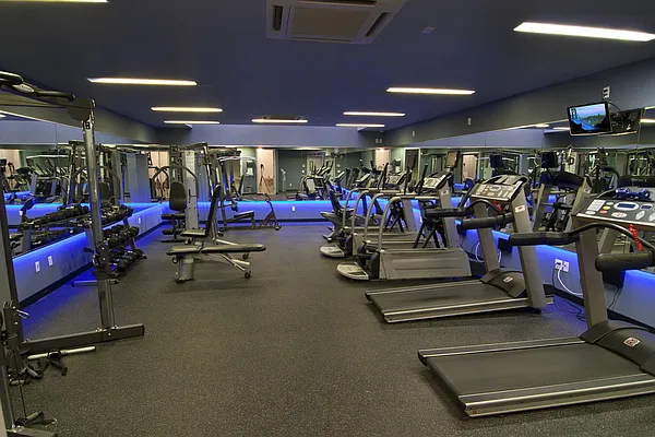 Rented by City View Living | media 124