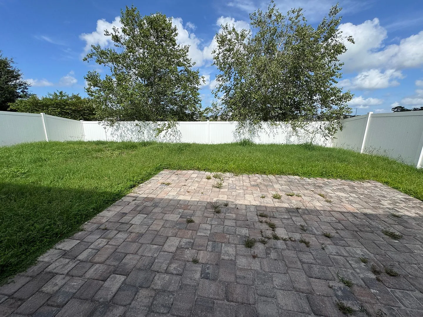 2980 Scarlett Drive — Photo 4