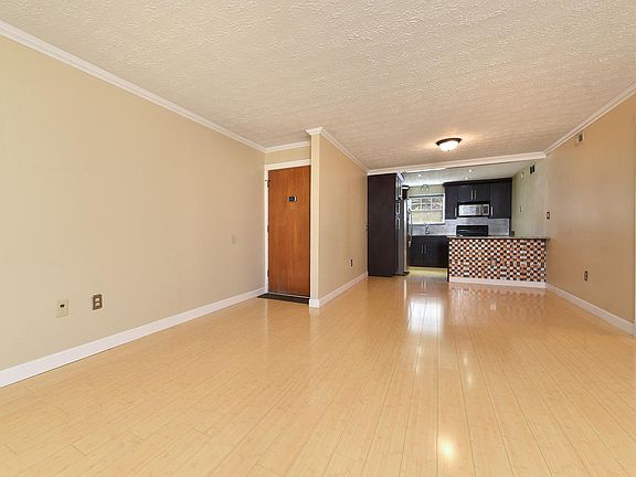 Living Room and Kitchen