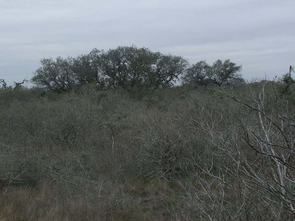 1st image of 000 Chuckar Dr