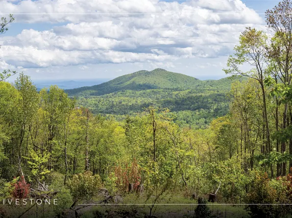 41 ac Trussing Terrace, Sapphire, NC 28774