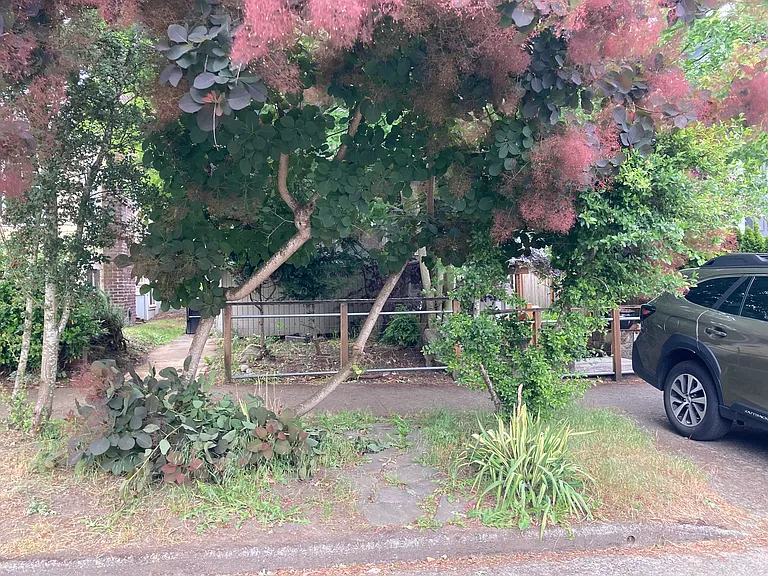 6046 26th Ave NE #A — Photo 17