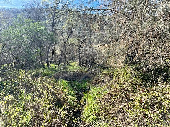 3rd image of 2286 New Long Valley Road