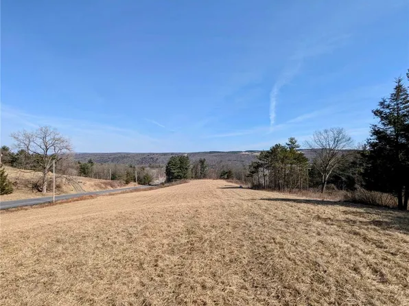 Millard Hill Rd, Newfield, NY 14867