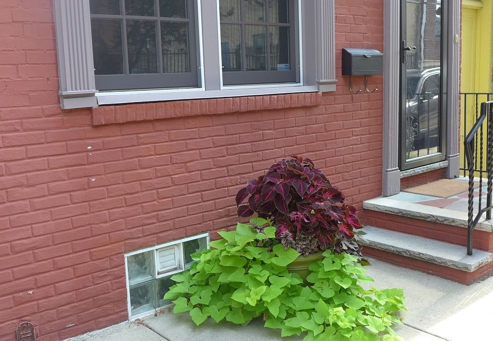 House Front
