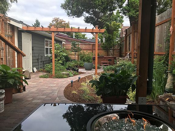 Backyard view from patio